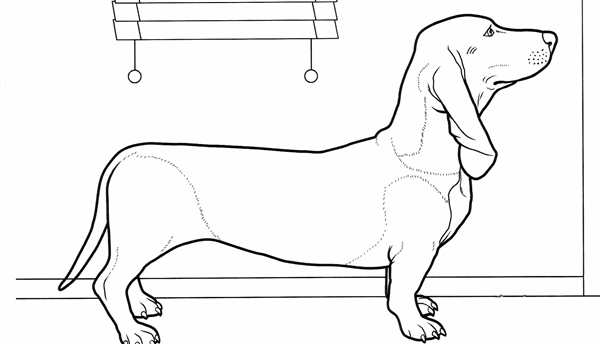 Раскраска Такса Веселые Активности для Детей и Лovers PET