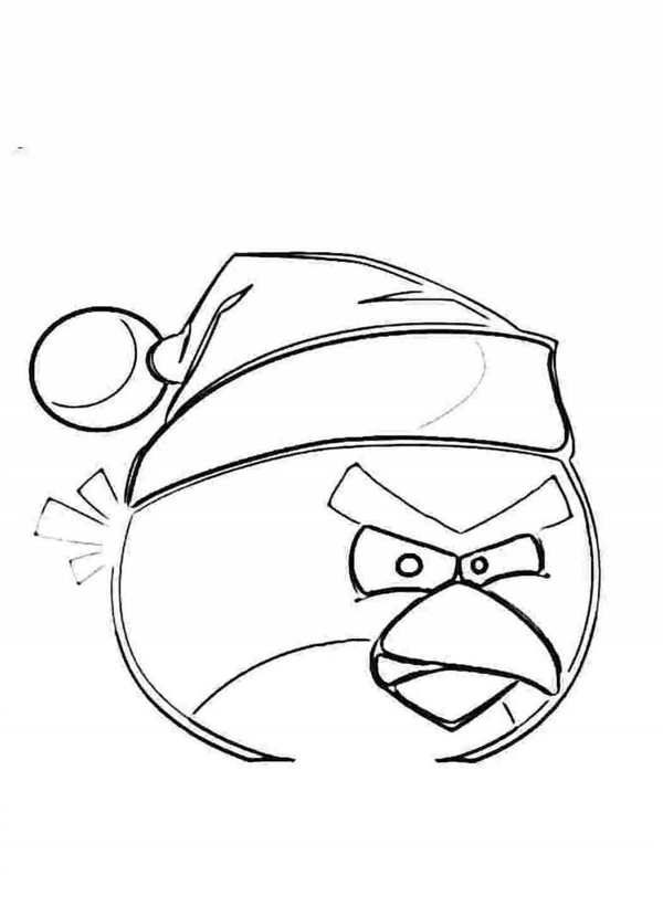 Раскраска Теренс из Angry Birds