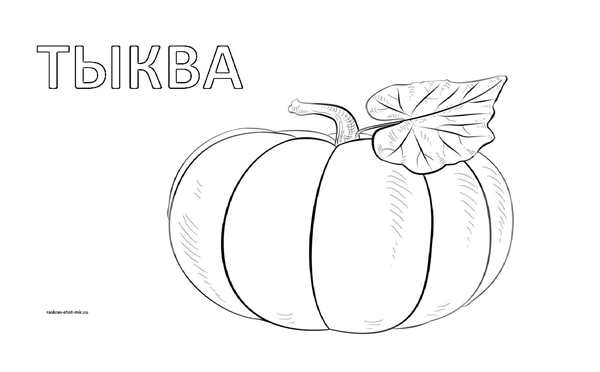 Тыква раскраска для детей