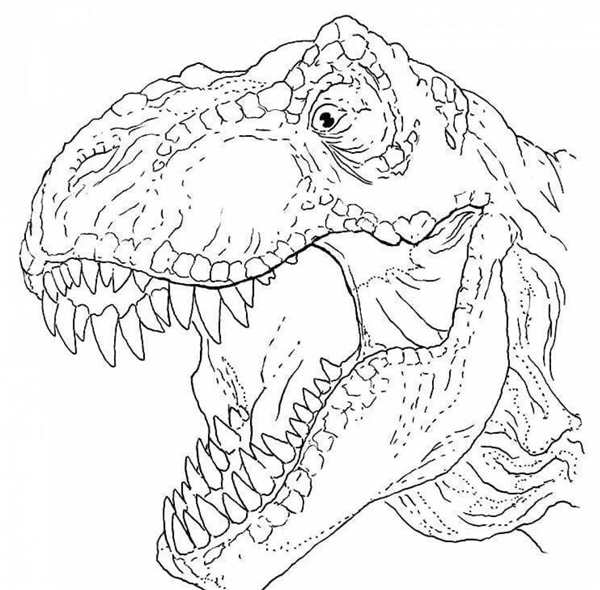T-Rex мир Юрского периода раскраска