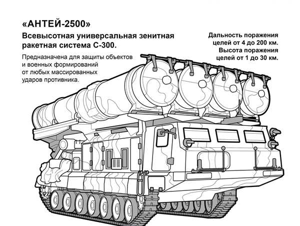 Тополь раскраска