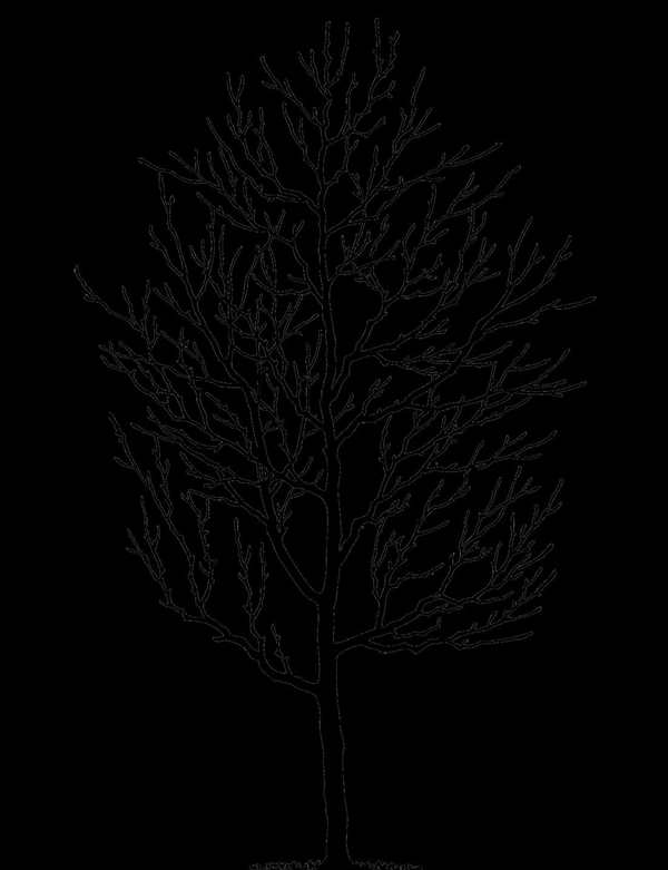 Тягач МЗКТ-79221