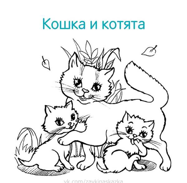 Три кота. Раскраска