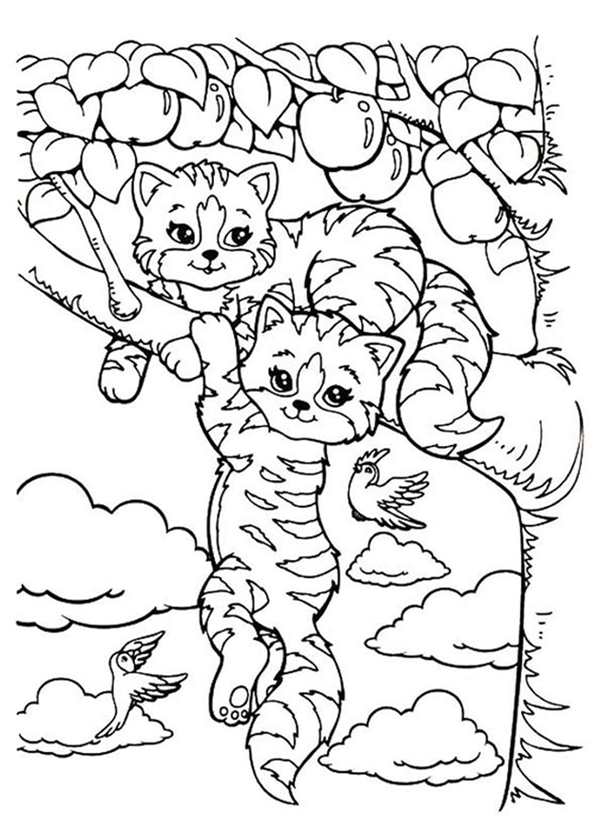 Раскраска Кошачья семейка