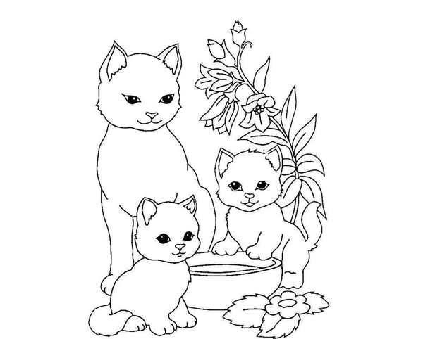 Рисунок кошки для раскрашивания