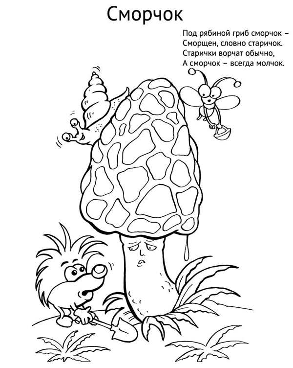 Гриб трюфель рисунок карандашом