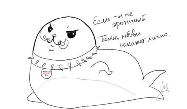 Морской котик рисунок
