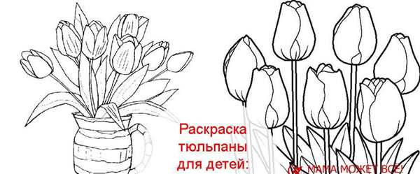 Тюльпан раскраска