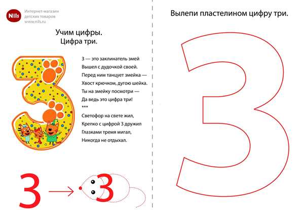 Число 3 цифра 3 состав задание для дошкольников