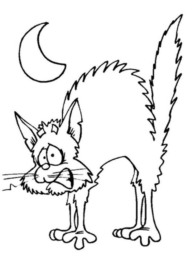 Кот Саймон