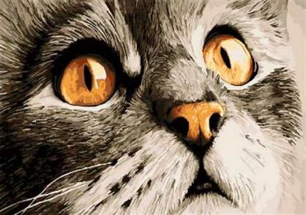 Кот Саймона. Раскраска