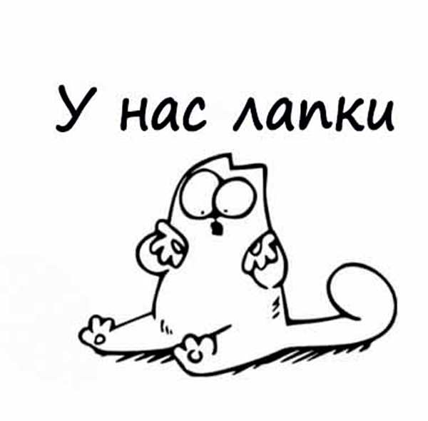 Раскраска Удивлённый кот
