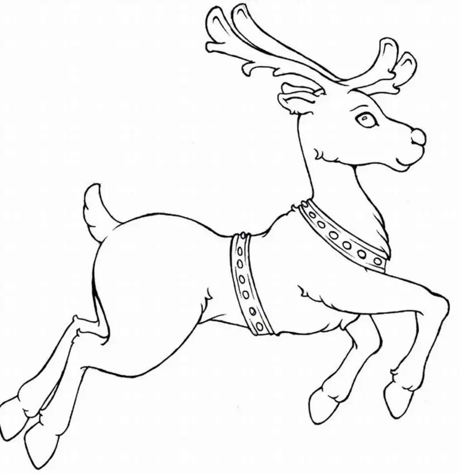 Раскраска Упряжка СантаКлауса Harness
