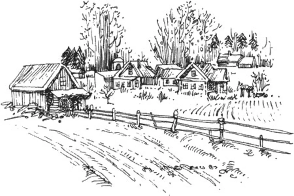Раскраска. В огороде