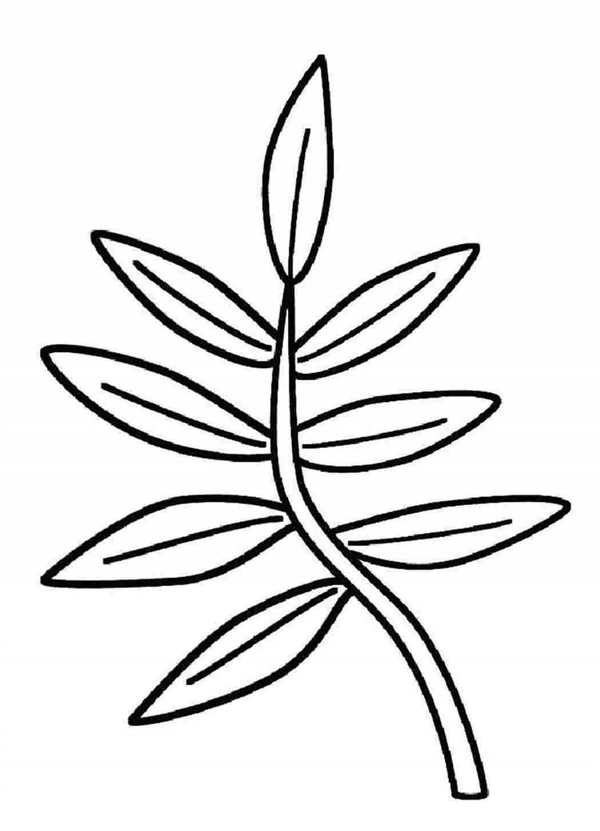 Листья рисунок