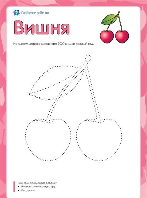 Вишня раскраска для детей