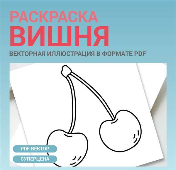 Раскраска вишня в цвете