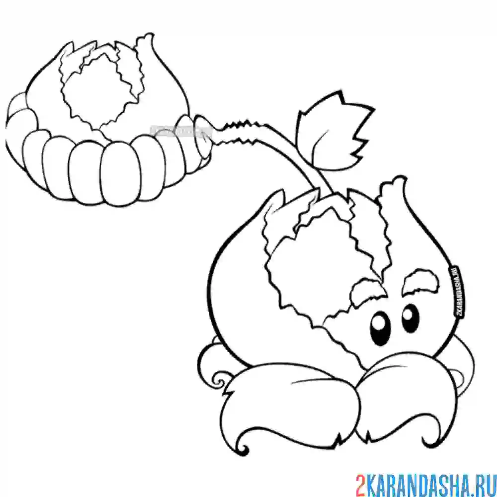 Plants vs Zombies раскраска