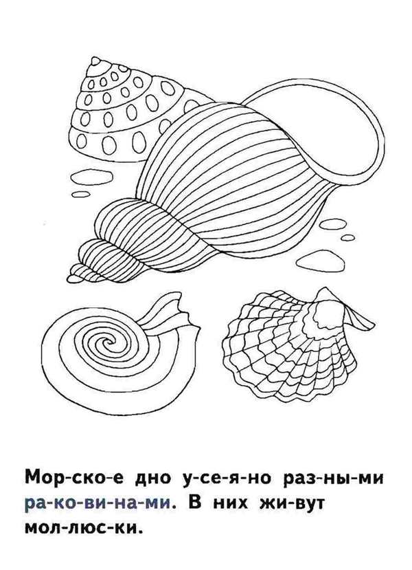Морская звезда раскраска