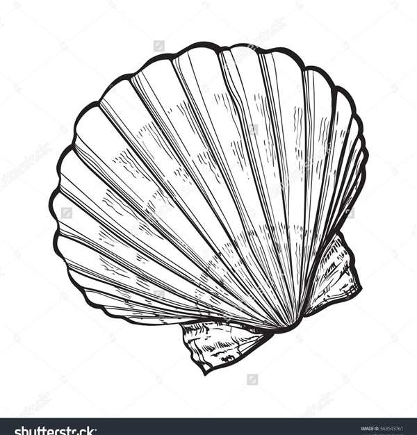 Стилизованная морская раковина