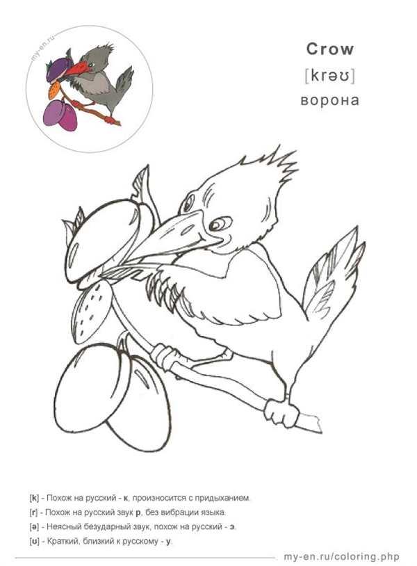 Ворона раскраска для детей