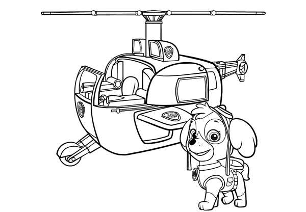 Paw Patrol раскраска