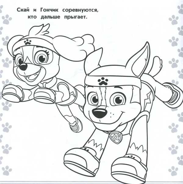 Скай раскраска Щенячий патруль