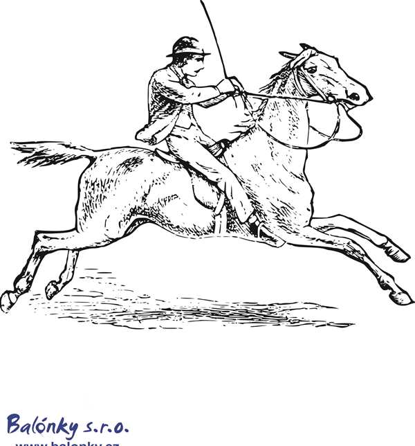 Всадник на коне раскраска