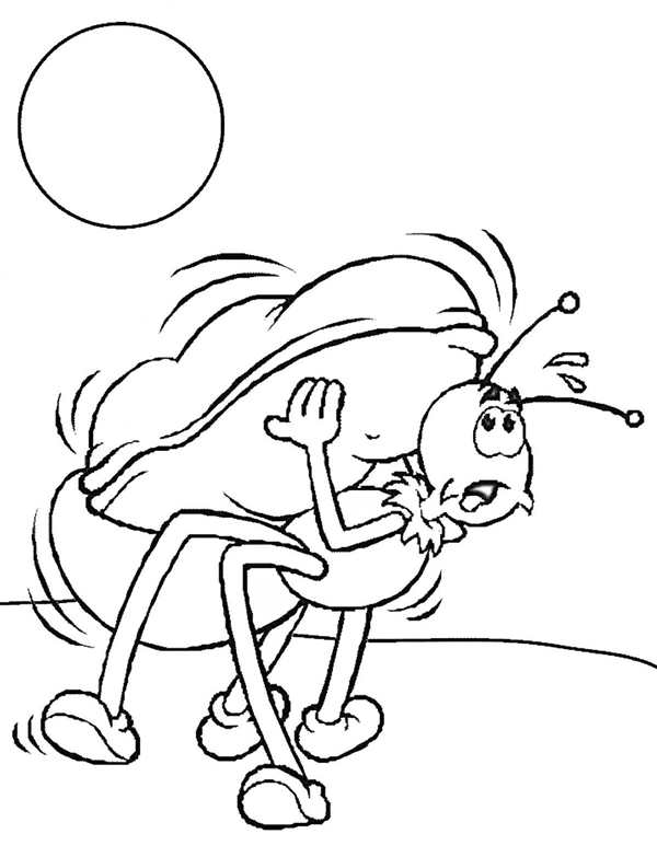 Apple Ant