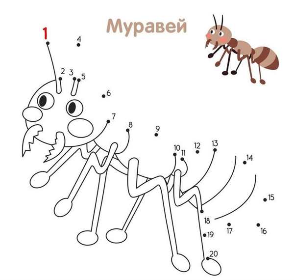 Соединить по точкам фрукты