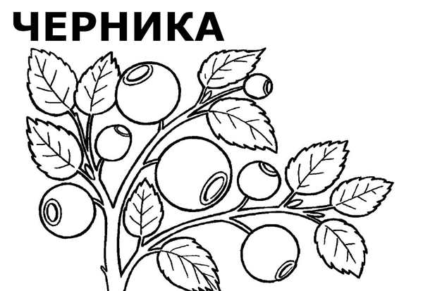 Раскраскаидля малышей