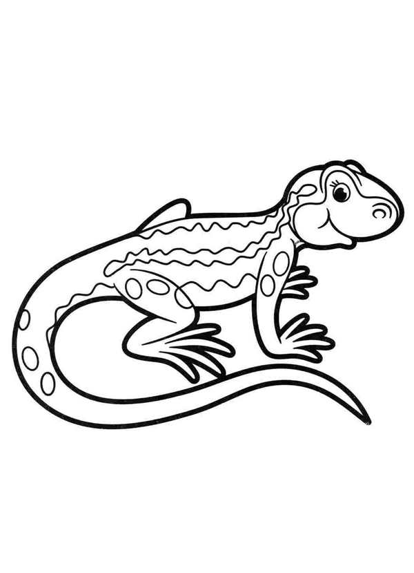 Ящерица раскраска