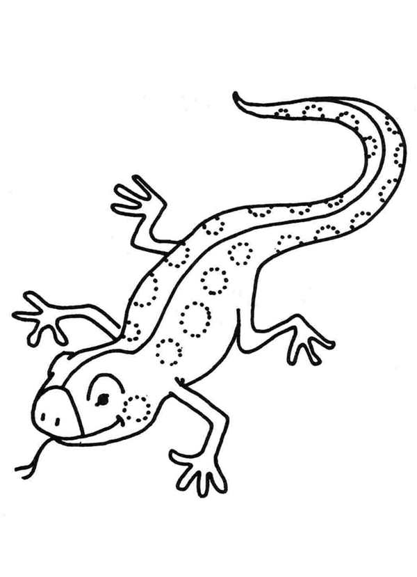 Раскраска ящерка