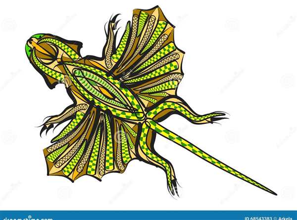 Летучий дракон (Draco volans)