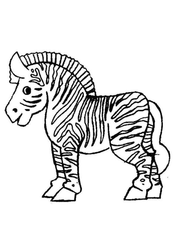 Зебра раскраска