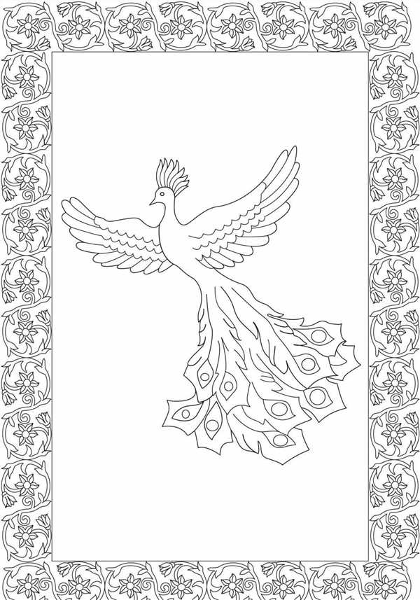 Жар птица рисунок раскраска