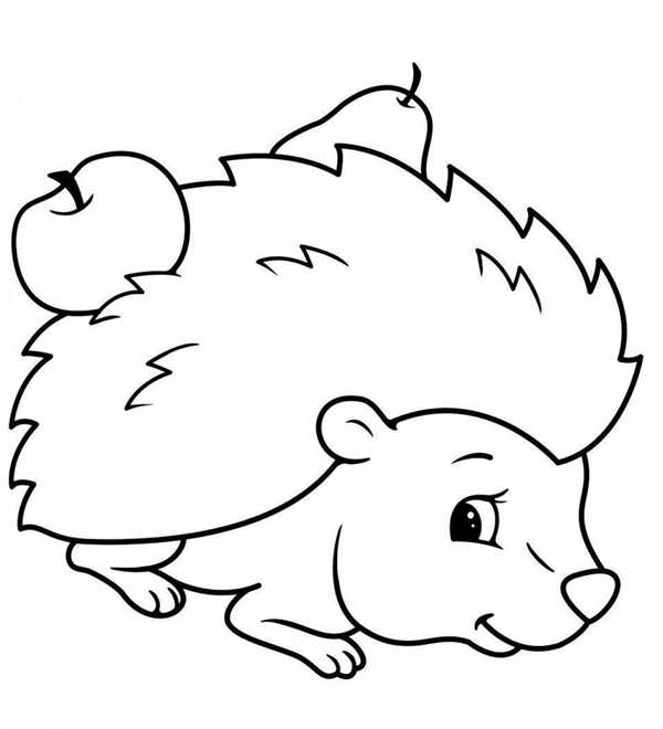 Раскраска Ёжик