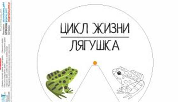 Головастик раскраска для детей