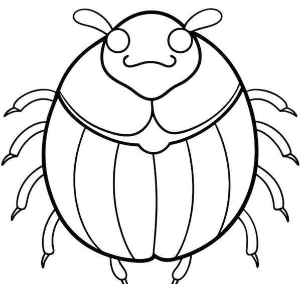Раскраска Жука Stinkfly Весёлое Перевёртышество на Листе
