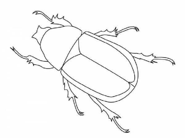 Раскраска Жука Stinkfly Весёлое Перевёртышество на Листе