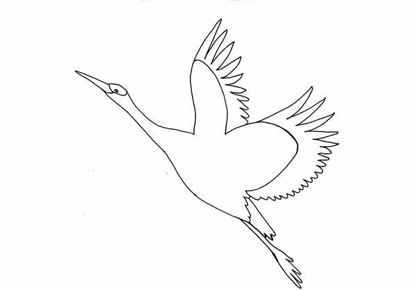 Журавли раскраска