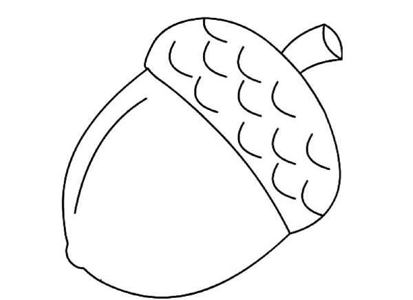 Дуб раскраска