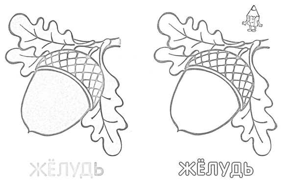 Раскраска Жёлуди и Листья