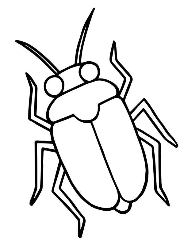 Плавт Ilyocoris cimicoides