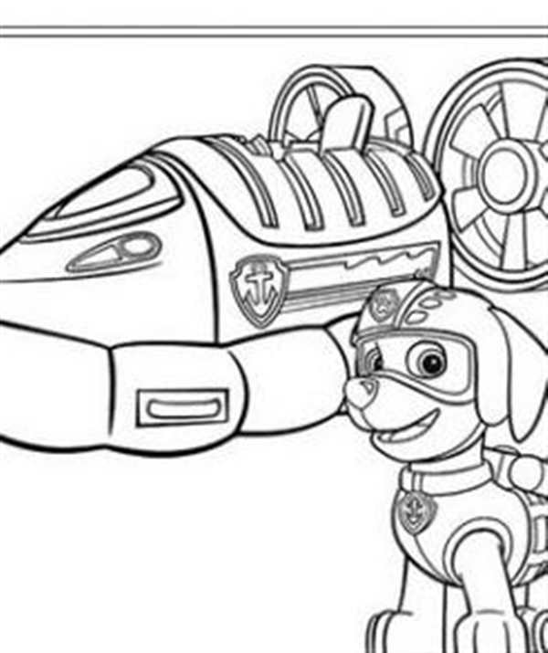 Paw Patrol раскраска