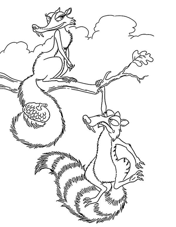 Раскраскаopossum на ветке
