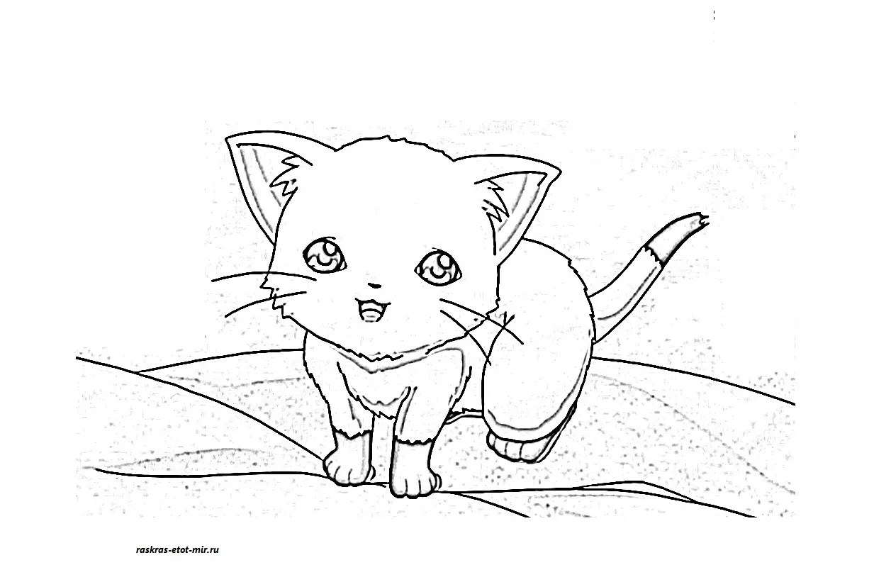 Раскраска кот