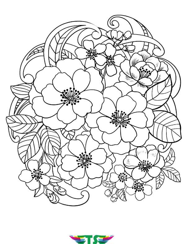 Растения рисунок