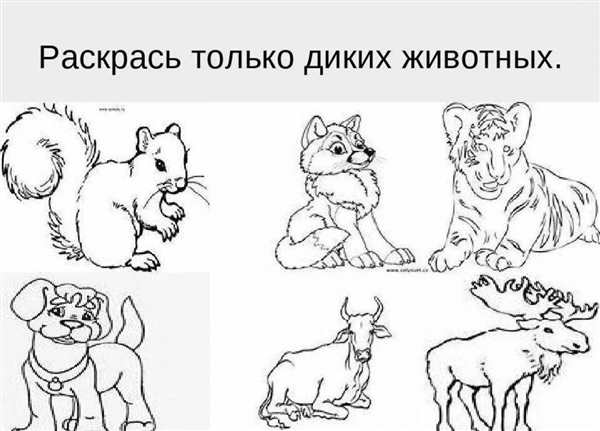 Раскраска \