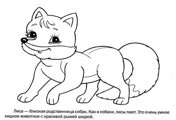 Раскраска \